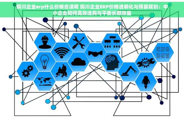 铜川企业erp什么价格合适呢 铜川企业ERP价格透明化与预算规划：中小企业如何高效选购与平衡长期效益