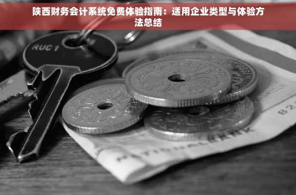 陕西财务会计系统免费体验指南：适用企业类型与体验方法总结