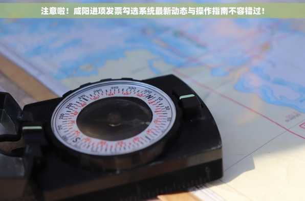 注意啦！咸阳进项发票勾选系统最新动态与操作指南不容错过！