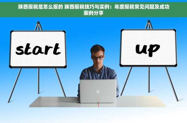 陕西报税是怎么报的 陕西报税技巧与实例：年度报税常见问题及成功案例分享