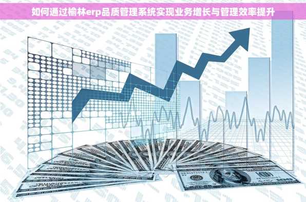 如何通过榆林erp品质管理系统实现业务增长与管理效率提升