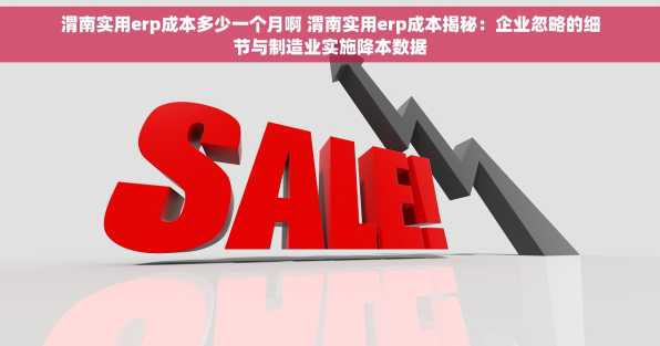 渭南实用erp成本多少一个月啊 渭南实用erp成本揭秘：企业忽略的细节与制造业实施降本数据