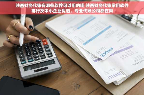 陕西财务代账有哪些软件可以用的啊 陕西财务代账常用软件排行及中小企业优选，专业代账公司都在用