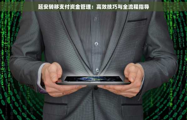 延安转移支付资金管理：高效技巧与全流程指导