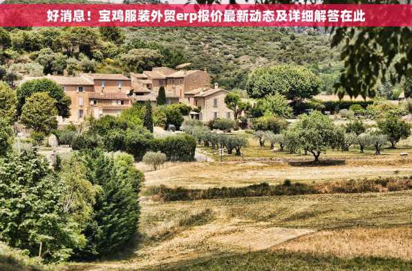 好消息！宝鸡服装外贸erp报价最新动态及详细解答在此