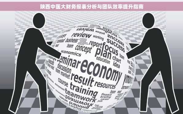 陕西中医大财务报表分析与团队效率提升指南