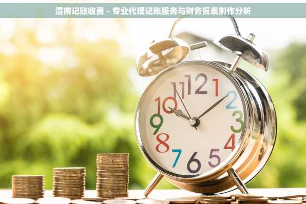 渭南记账收费 - 专业代理记账服务与财务报表制作分析