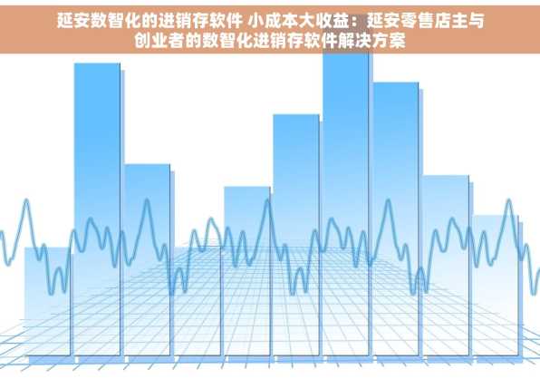 延安数智化的进销存软件 小成本大收益：延安零售店主与创业者的数智化进销存软件解决方案