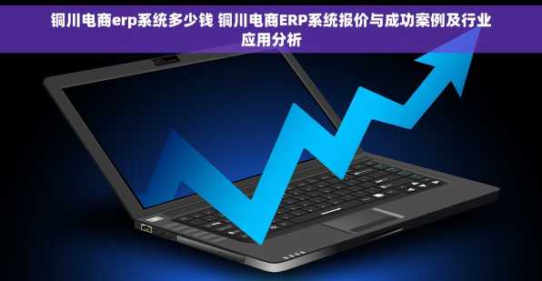 铜川电商erp系统多少钱 铜川电商ERP系统报价与成功案例及行业应用分析