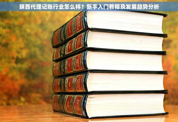 陕西代理记账行业怎么样？新手入门教程及发展趋势分析