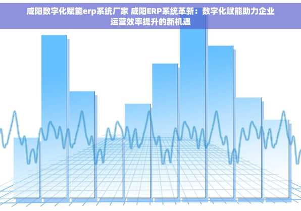 咸阳数字化赋能erp系统厂家 咸阳ERP系统革新：数字化赋能助力企业运营效率提升的新机遇