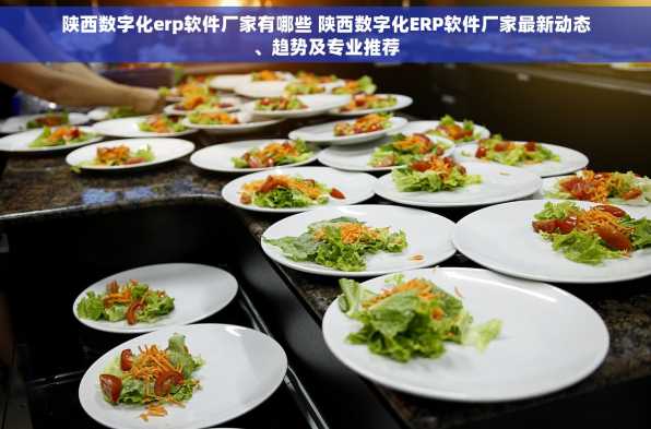 陕西数字化erp软件厂家有哪些 陕西数字化ERP软件厂家最新动态、趋势及专业推荐