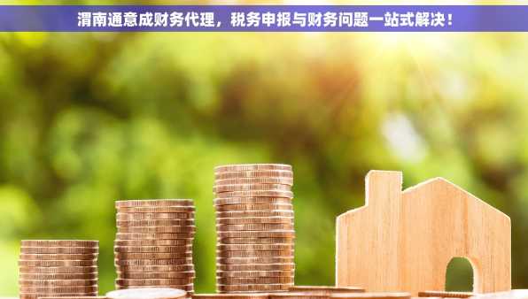 渭南通意成财务代理，税务申报与财务问题一站式解决！