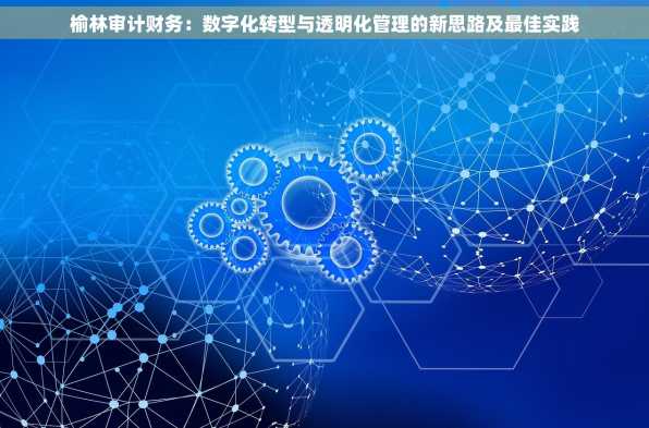 榆林审计财务：数字化转型与透明化管理的新思路及最佳实践