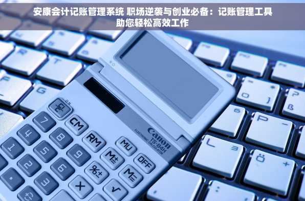 安康会计记账管理系统 职场逆袭与创业必备：记账管理工具助您轻松高效工作