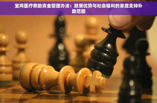 宝鸡医疗救助资金管理办法：政策优势与社会福利的家庭支持补助范围