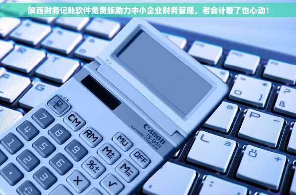 陕西财务记账软件免费版助力中小企业财务管理，老会计看了也心动！