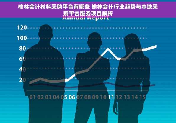 榆林会计材料采购平台有哪些 榆林会计行业趋势与本地采购平台服务项目解析
