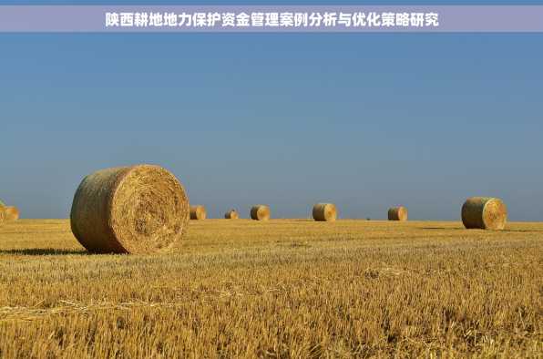 陕西耕地地力保护资金管理案例分析与优化策略研究
