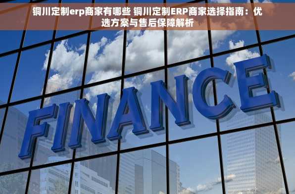 铜川定制erp商家有哪些 铜川定制ERP商家选择指南：优选方案与售后保障解析