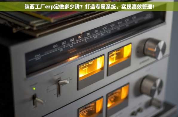 陕西工厂erp定做多少钱？打造专属系统，实现高效管理!
