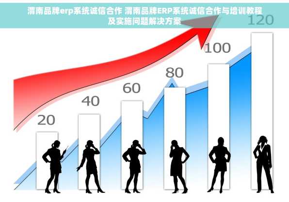 渭南品牌erp系统诚信合作 渭南品牌ERP系统诚信合作与培训教程及实施问题解决方案