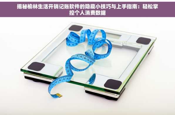 揭秘榆林生活开销记账软件的隐藏小技巧与上手指南：轻松掌控个人消费数据