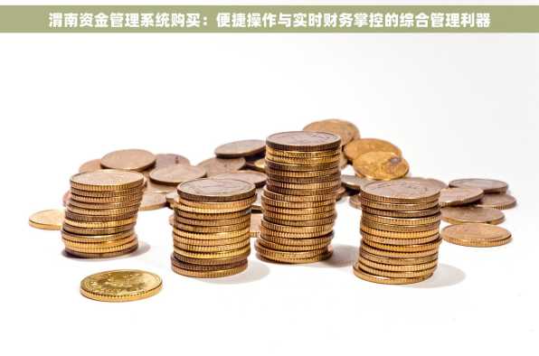 渭南资金管理系统购买：便捷操作与实时财务掌控的综合管理利器
