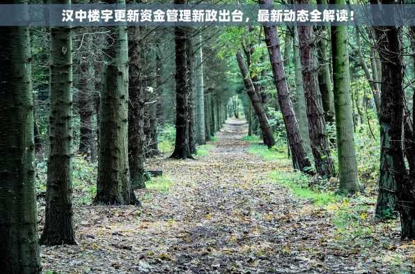 汉中楼宇更新资金管理新政出台，最新动态全解读！