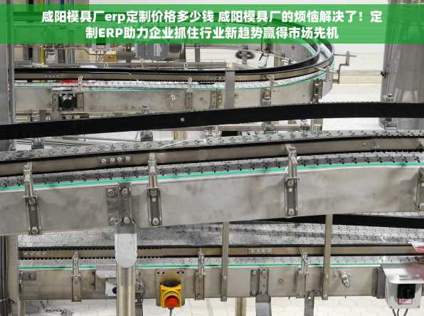 咸阳模具厂erp定制价格多少钱 咸阳模具厂的烦恼解决了！定制ERP助力企业抓住行业新趋势赢得市场先机