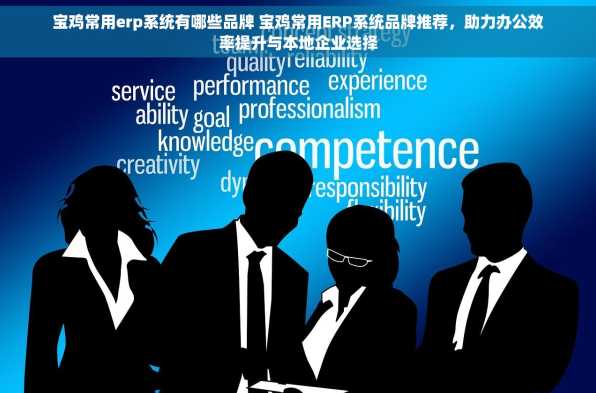 宝鸡常用erp系统有哪些品牌 宝鸡常用ERP系统品牌推荐，助力办公效率提升与本地企业选择