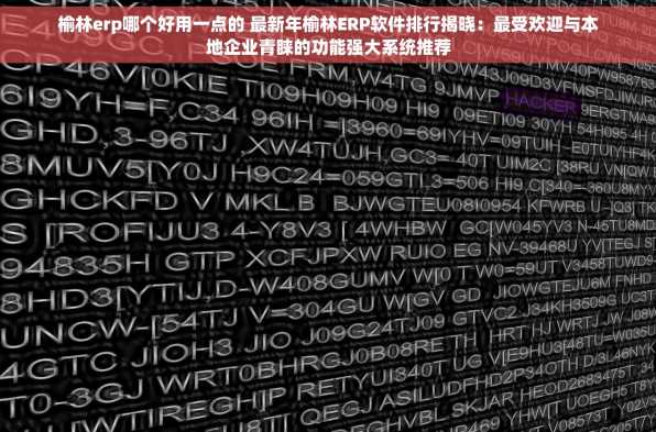 榆林erp哪个好用一点的 最新年榆林ERP软件排行揭晓：最受欢迎与本地企业青睐的功能强大系统推荐