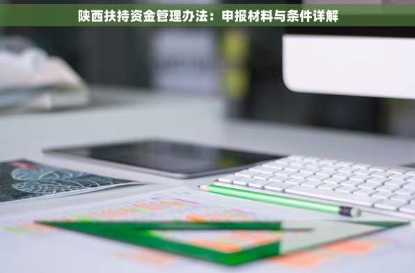 陕西扶持资金管理办法：申报材料与条件详解