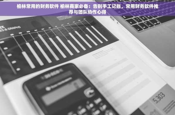 榆林常用的财务软件 榆林商家必备：告别手工记账，常用财务软件推荐与团队协作心得