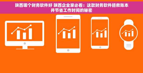 陕西哪个财务软件好 陕西企业家必看：这款财务软件拯救账本并节省工作时间的秘密