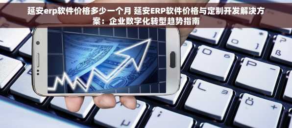 延安erp软件价格多少一个月 延安ERP软件价格与定制开发解决方案：企业数字化转型趋势指南