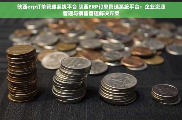 陕西erp订单管理系统平台 陕西ERP订单管理系统平台：企业资源管理与销售管理解决方案