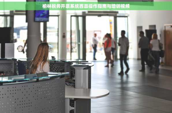 榆林税务开票系统西昌操作指南与培训视频