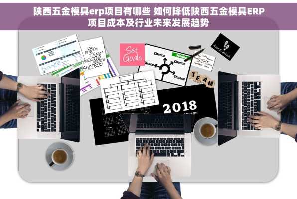 陕西五金模具erp项目有哪些 如何降低陕西五金模具ERP项目成本及行业未来发展趋势
