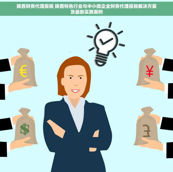 陕西财务代理报税 陕西特色行业与中小微企业财务代理报税解决方案及最新实践案例