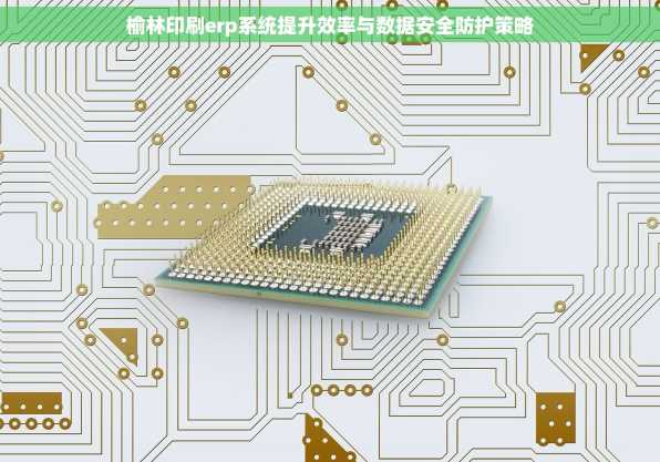 榆林印刷erp系统提升效率与数据安全防护策略