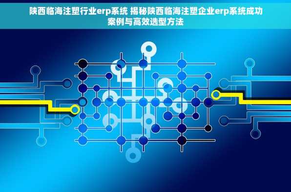 陕西临海注塑行业erp系统 揭秘陕西临海注塑企业erp系统成功案例与高效选型方法