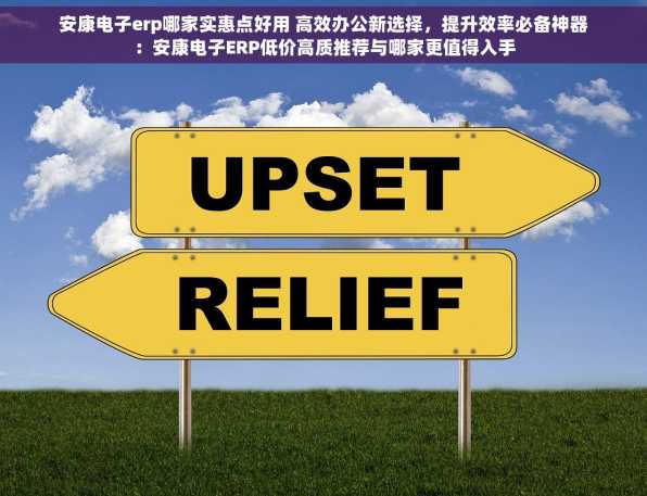 安康电子erp哪家实惠点好用 高效办公新选择，提升效率必备神器：安康电子ERP低价高质推荐与哪家更值得入手