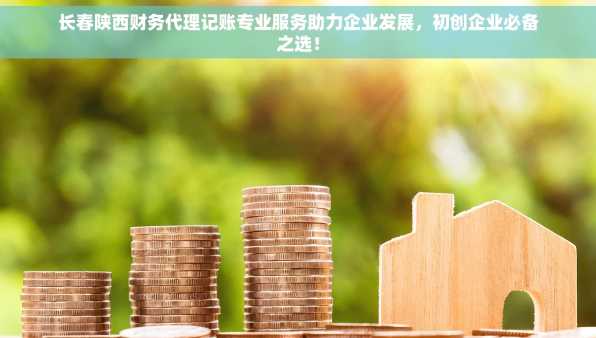 长春陕西财务代理记账专业服务助力企业发展，初创企业必备之选！