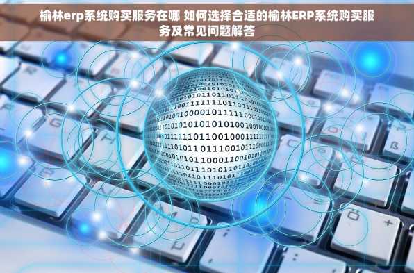 榆林erp系统购买服务在哪 如何选择合适的榆林ERP系统购买服务及常见问题解答