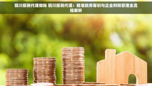铜川报税代理做账 铜川报税代理：精准税务筹划与企业财税管理全流程解析
