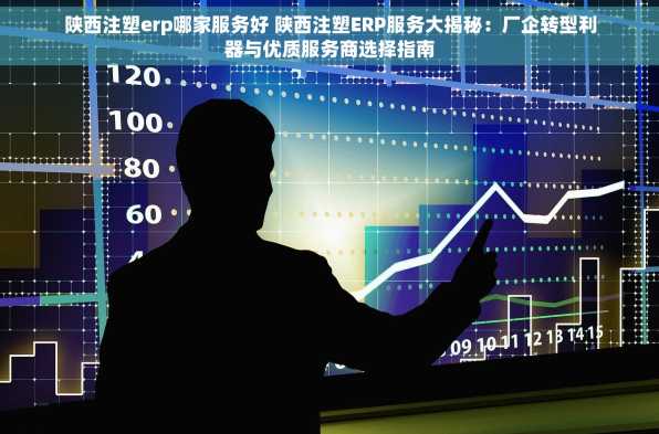 陕西注塑erp哪家服务好 陕西注塑ERP服务大揭秘：厂企转型利器与优质服务商选择指南