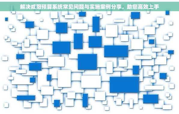解决咸阳预算系统常见问题与实施案例分享，助您高效上手
