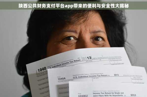 陕西公共财务支付平台app带来的便利与安全性大揭秘
