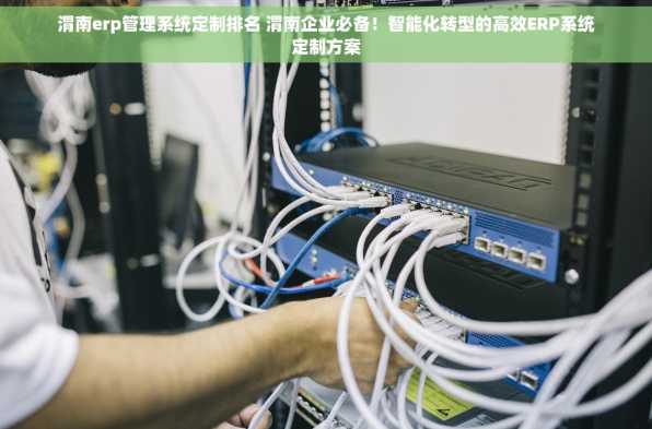 渭南erp管理系统定制排名 渭南企业必备！智能化转型的高效ERP系统定制方案